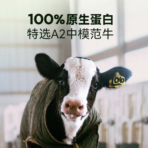 【分销】【秋田】A2β酪蛋白纯牛奶150ml*10盒装，多规格自选 商品图2