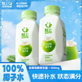 轻上 椰汁水245ml*10瓶