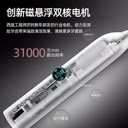 西屋（Westinghouse）电动牙刷WT-502S 商品图3