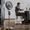 先锋复古扇DLD-M9（DD2506R） 商品缩略图1