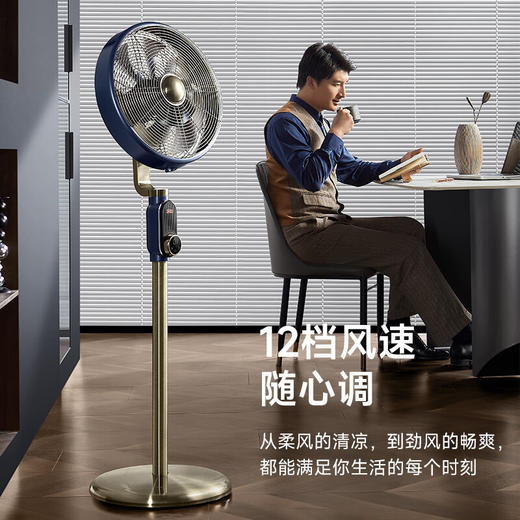 先锋复古扇DLD-M9（DD2506R） 商品图1