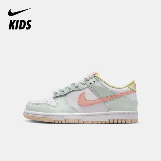 Nike Dunk Low 大童运动鞋 IV2861 商品图0