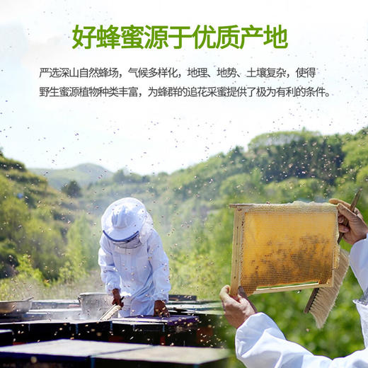 养蜂婆婆勺蜜120g 商品图2