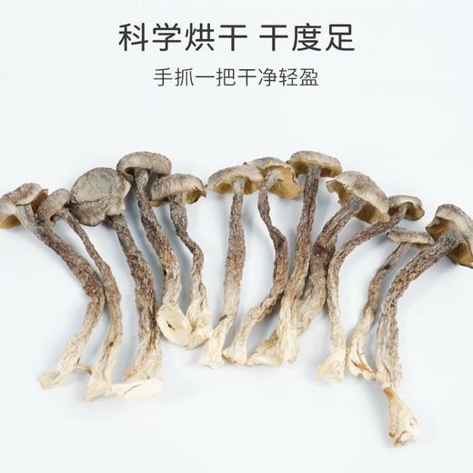 鹿茸菇  120g 商品图3