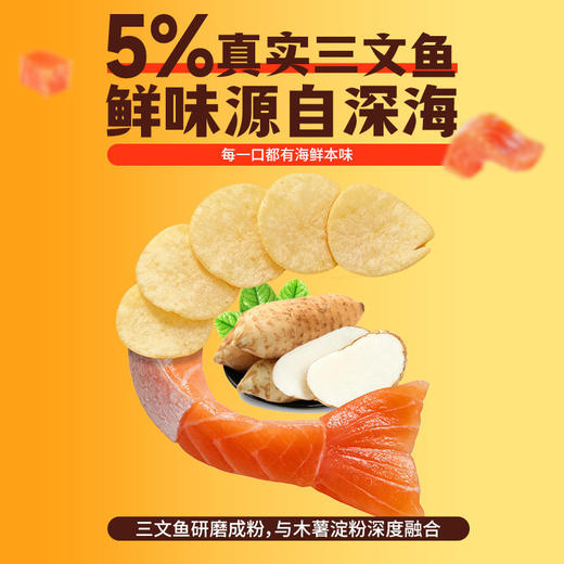 莱纳三文鱼脆片55g 商品图2