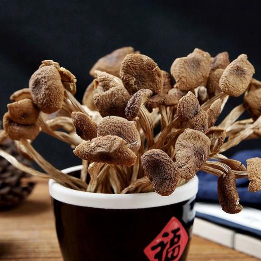 茶树菇  120g 商品图3