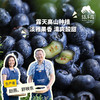 有机蓝莓（云南大理） | 合作生产*Organic blueberries | artner Production 商品缩略图0