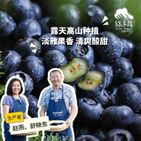 有机蓝莓（云南大理） | 合作生产*Organic blueberries | artner Production
