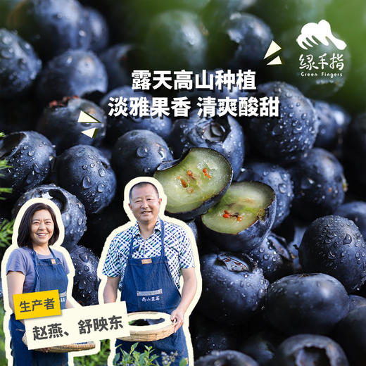 有机蓝莓（云南大理） | 合作生产*Organic blueberries | artner Production 商品图0