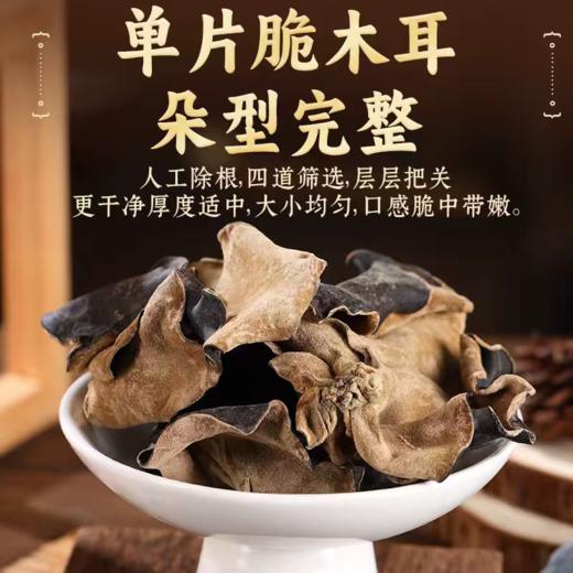 大木耳  150g 商品图2