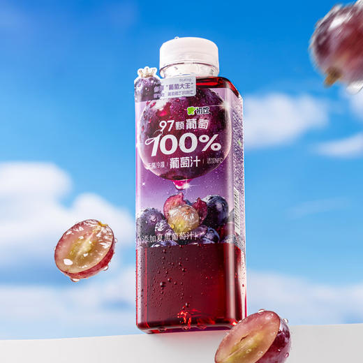 初饮1000%葡萄汁500ml 商品图0