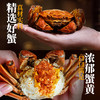 【直发】湾仔岛蟹黄拌面140g*4袋 商品缩略图2