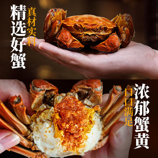 【直发】湾仔岛蟹黄拌面140g*4袋 商品图2