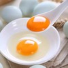 绿壳鸡蛋  30枚 商品缩略图4