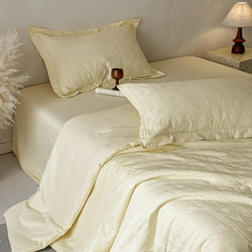 【初夏焕新】自然醒全棉大豆纤维芸屿夏被四件套HS 商品图4