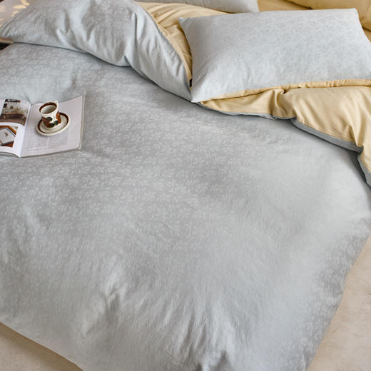 【初夏焕新】自然醒长绒棉水洗染色提花四件套（四季款）HS 商品图3