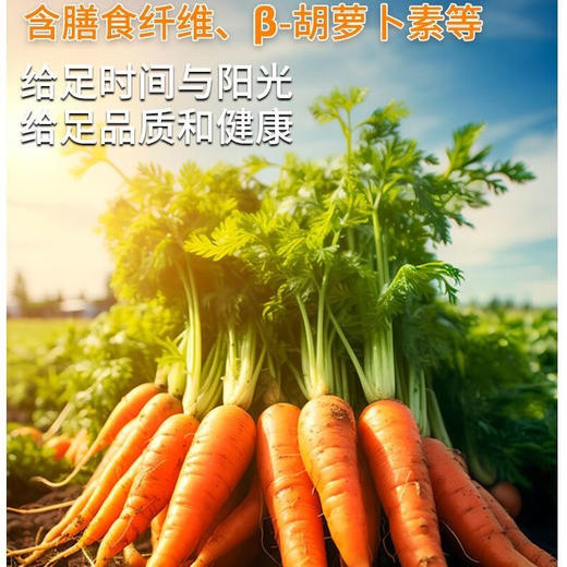 美疆源100%胡萝卜复合果蔬汁318ml 商品图5