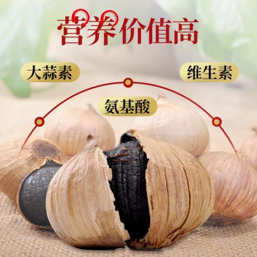 独头黑蒜  450g 商品图4
