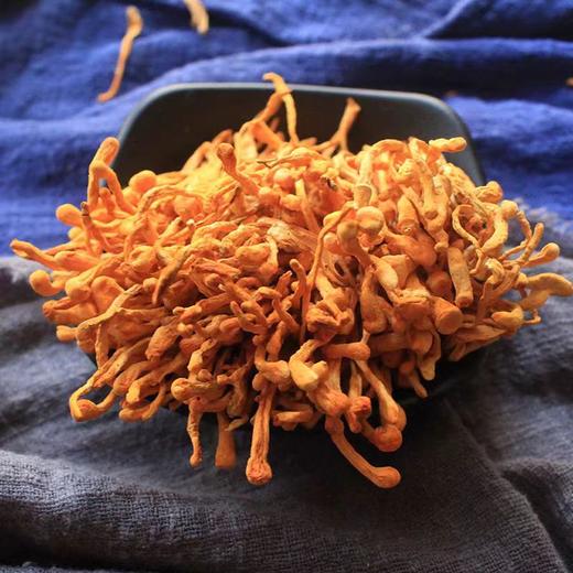 盒装虫草花  300g 商品图3