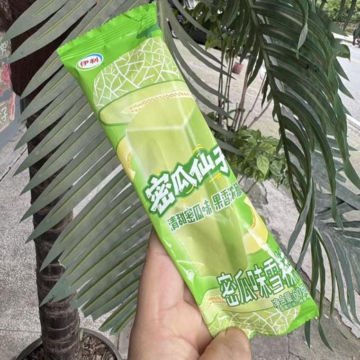 伊利蜜瓜雪条60g 商品图0