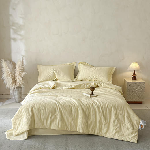 【初夏焕新】自然醒全棉大豆纤维芸屿夏被四件套HS 商品图1