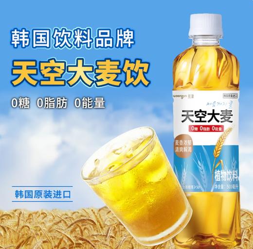 熊津天空大麦茶500ml 商品图0