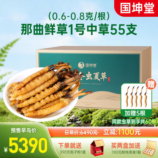【2026鲜草预售】国坤堂那曲头茬鲜虫草 商品图1