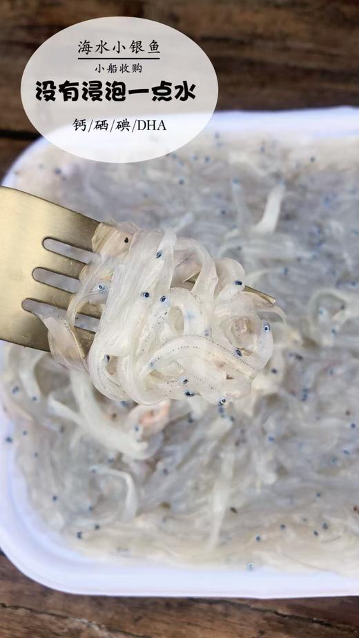 海水小银鱼 商品图0