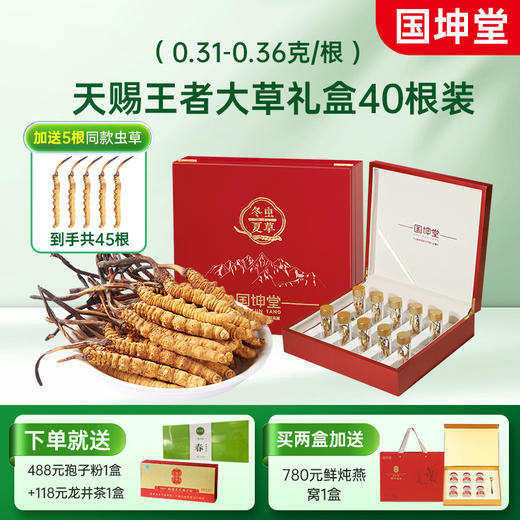 国坤堂 西藏那曲虫草贵系礼盒 商品图6