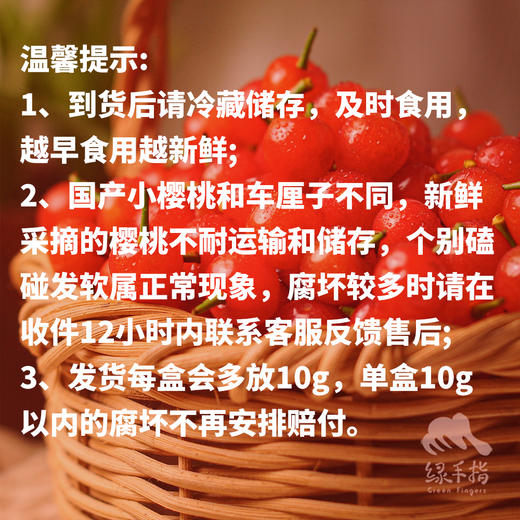 生态小樱桃 | 合作生产*Ecological cherry | Partner Production 商品图2