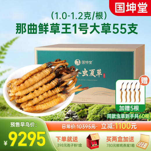 【2026鲜草预售】国坤堂那曲头茬鲜虫草 商品图2