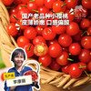生态小樱桃 | 合作生产*Ecological cherry | Partner Production 商品缩略图0