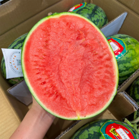 盘个瓜甘美4K西瓜 甜脆口 新鲜采摘