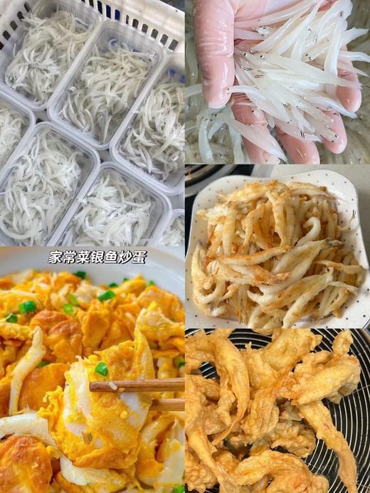 海水小银鱼 商品图2