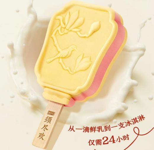 须尽欢落莓踏雪混合莓鲜牛乳冰淇淋 商品图0