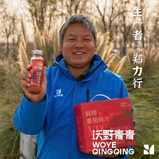 （新鲜的番茄汁回来喽！） 沃野青青鲜榨番茄纯汁 258ml/瓶*6 有机番茄NFC鲜榨 商品图2