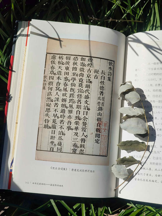 推荐书单丨旧书是美丽的 精装本限量发行800册 商品图5