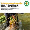 有机姜黄粉85g 商品缩略图3