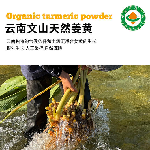有机姜黄粉85g 商品图3