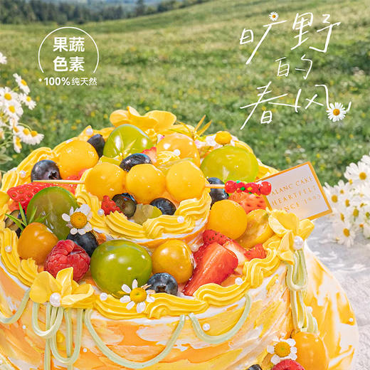 【春野派对】春天出生的人 自带向上的力量 商品图1