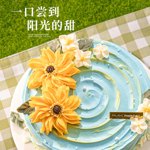 【向阳而生】在春日肆意生长 商品图1