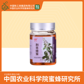 买3送荔枝蜂蜜 华兴牌 荆条蜂蜜450g 中国农业科学院蜜蜂研究所 有效期至2026-11-09