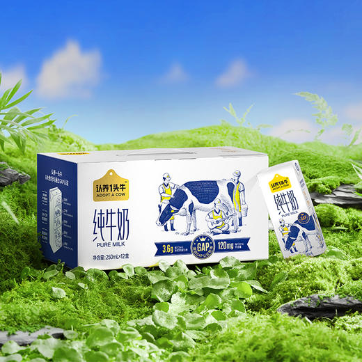 【直发】认养一头牛3.6g蛋白纯奶250ml利乐砖12入两提装110101105206 商品图0
