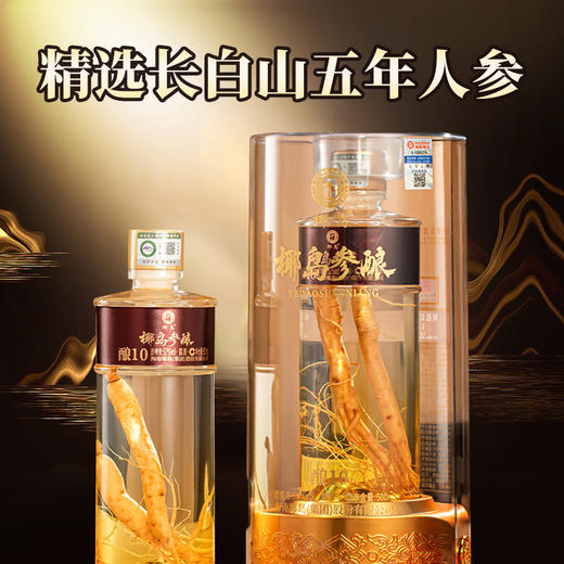【买一送一】  椰岛参酿酒 酿10 露酒 52度 500ml 商品图1