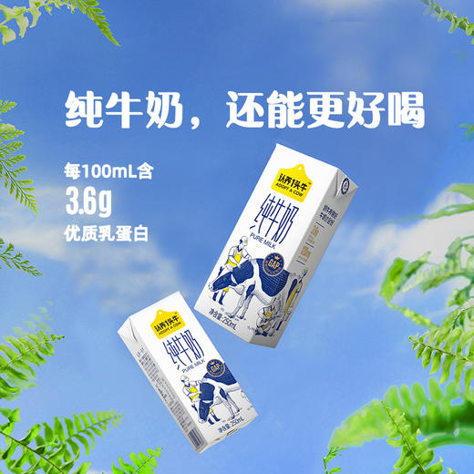 【直发】认养一头牛3.6g蛋白纯奶250ml利乐砖12入两提装110101105206 商品图2