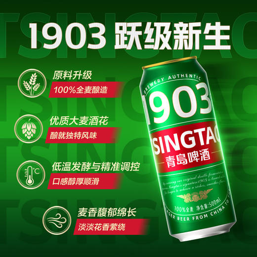 青岛啤酒「1903」全麦精酿 500ml*12听（新品上市） 商品图2