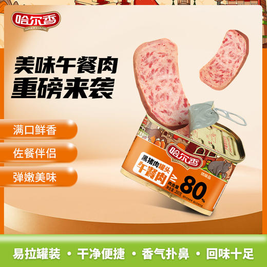 【直发】哈尔香黑猪肉午餐肉罐头200g*5罐 商品图0
