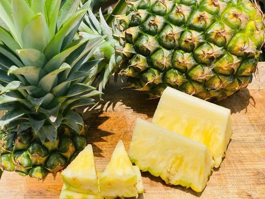 冬蜜凤梨 商品图1