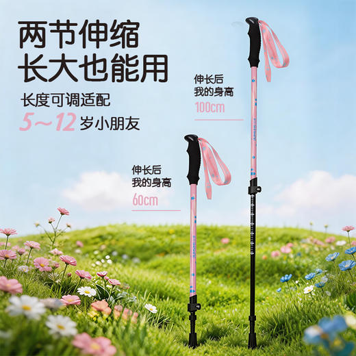 时行山浪儿童铝合金登山杖 商品图2