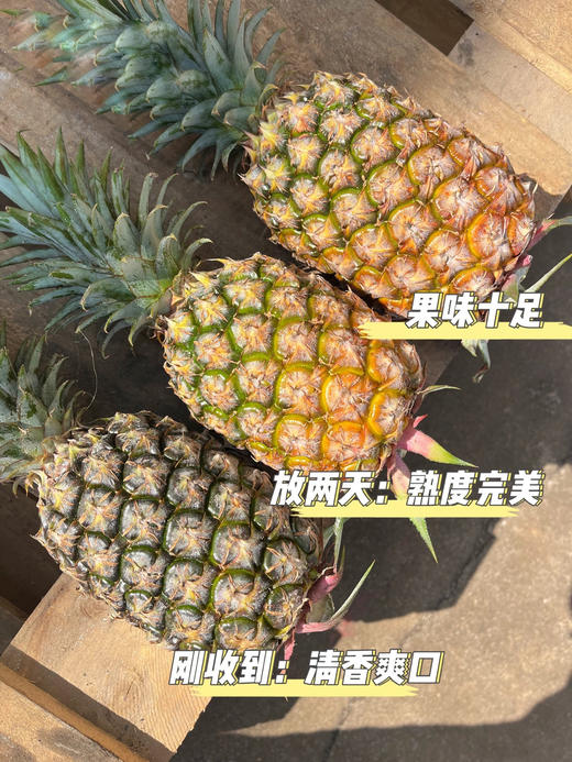 冬蜜凤梨 商品图5